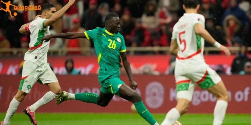 Sơ đồ lực lượng giữa Na Uy vs Sénégal