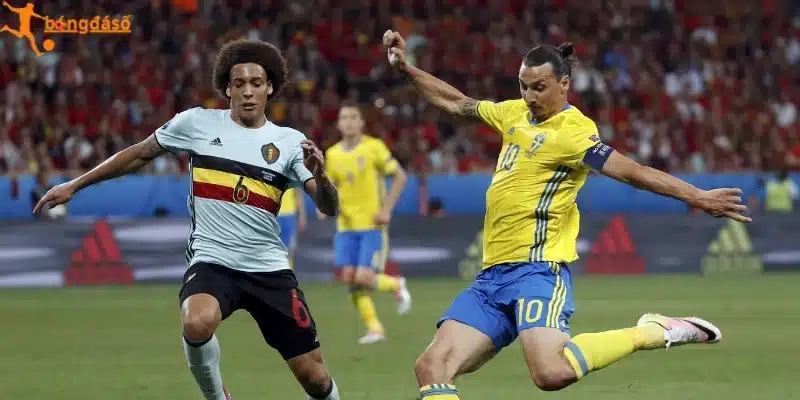 Toàn diện nguồn lực của Thụy Điển vs Tunisia
